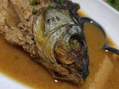 黄河金鲤鱼-禾珍珠家常小馆(河南博物院店)