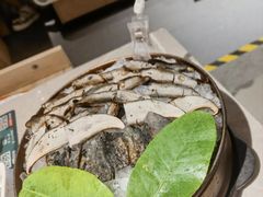 -芸山季·云南野生菌火锅(宝能环球汇店)