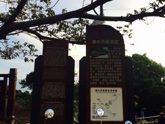 -滴水丹屏