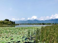 -野鸭湖国家湿地公园