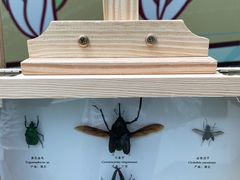 -中国杭州低碳科技馆