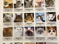 -袖虎·猫馆(体育西路店)