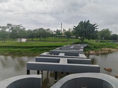 -深圳湾公园(南山区)