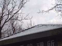 -紫金山山顶公园
