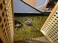 -邈墨茶馆(凤起路店)