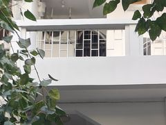 -溪岸路花鸟市场