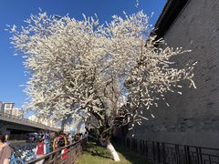 -雍和宫(地铁站)