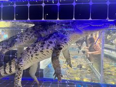 -川骄海鲜自助(河东店)
