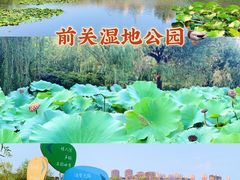 -前关湿地公园