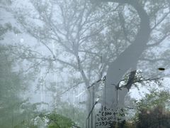 -西溪南古村落