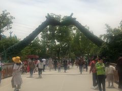 -苏州乐园森林水世界