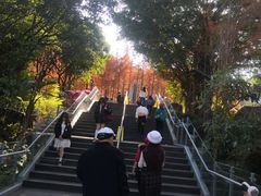 -梅峰山地公园