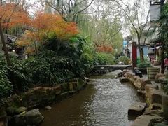 -黄龙溪古镇
