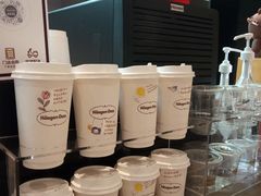 -哈根达斯(龙湖时代天街店)