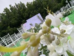 -明典婚礼策划·婚车租赁·婚纱摄影