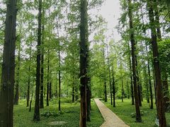 -国家植物园南园