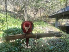 -千岛湖东南湖区