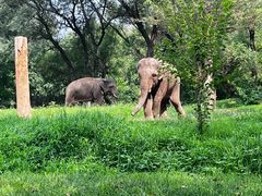 -北京野生动物园