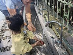 -杭州龙井幼儿园