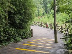 -天目湖山水园