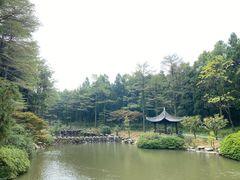 -溪口商量岗景区