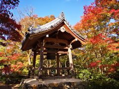 -常寂光寺