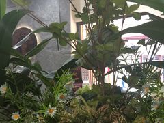 -霸王茶姬(正佳广场店)