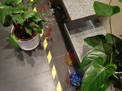 -松子料理(白家庄店)