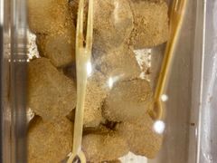 -吉林大学前卫校区南区-日新楼