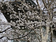 -鸡鸣寺