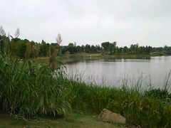 android_upload_pic-尚贤河湿地