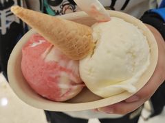-极拉图·现制冰淇淋(梅溪湖新天地步步高店)