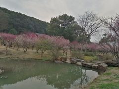 -无锡梅园公园