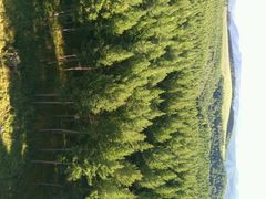 -塞罕坝国家级自然保护区