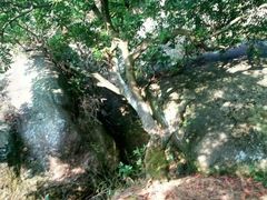 -大罗山风景区