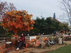 -HERRE·FARM 赫尔露营农场·团建聚会包场