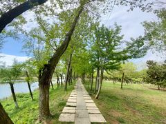 -鉴湖国家城市湿地公园