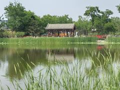 -西海子公园