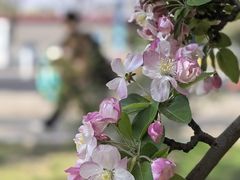 -元大都城垣遗址公园