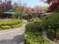 -大连金石滩绿发温泉假日酒店
