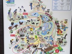 -新加坡飞禽公园