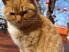 -终南山南五台景区