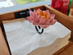 -枣子树·素食餐厅(朱家尖店)