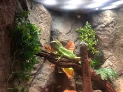 -成都浩海立方海洋公园