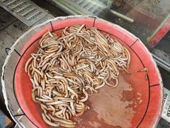 -蠔爺王志德生蚝馆(金沙湾店)