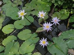 -国家植物园南园