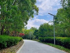 -昆山城市生态森林公园