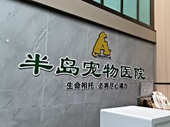 -半岛宠物医院24小时(科华中路店)