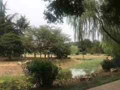 -堤角公园