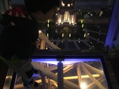 -影汇之星8字形摩天轮